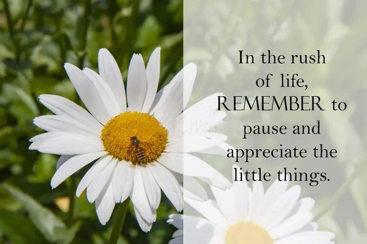 In the rush of life, remember to pause and appreciate the little things
