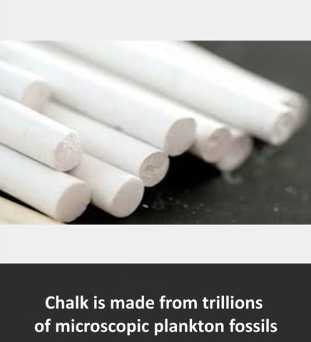 Chalk is made from trillions of microscopic plankton fossils