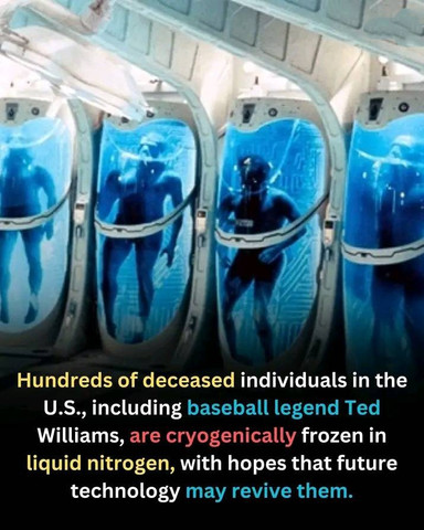 Hundreds of deceased individuals in the U.S. are cryogenically frozen in hopes of future revival