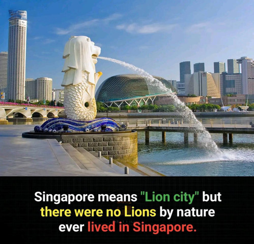 Singapore means "Lion city" but there were no Lions by nature ever lived in Singapore