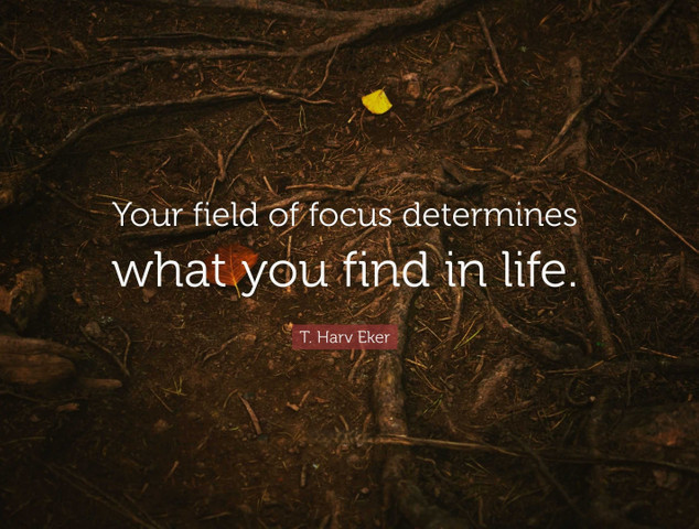 Your field of focus determines what you find in life
