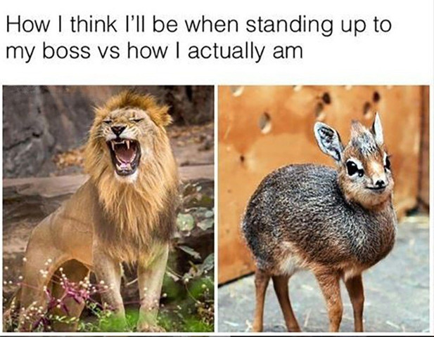 How I think I’ll be standing up to my boss vs how I actually am
