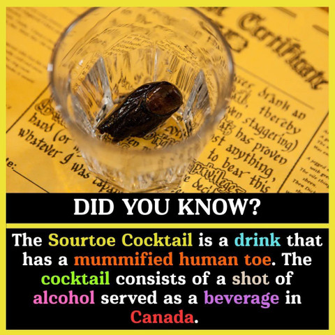 The Sourtoe Cocktail is a drink that has a mummified human toe