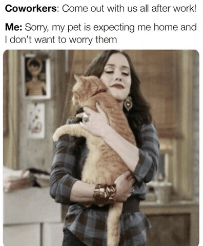 Coworkers: Come out with us all after work!