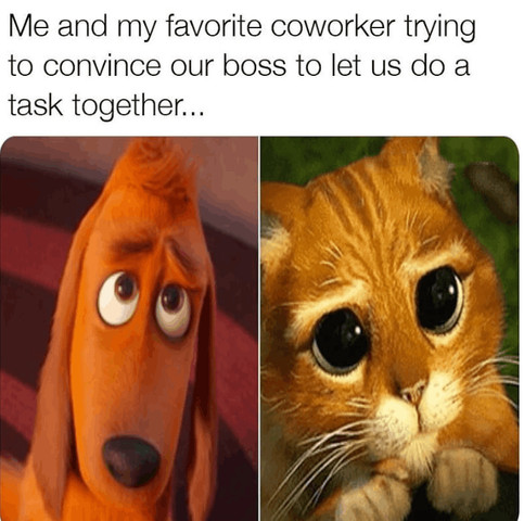 Me and my favorite coworker trying to convince our boss
