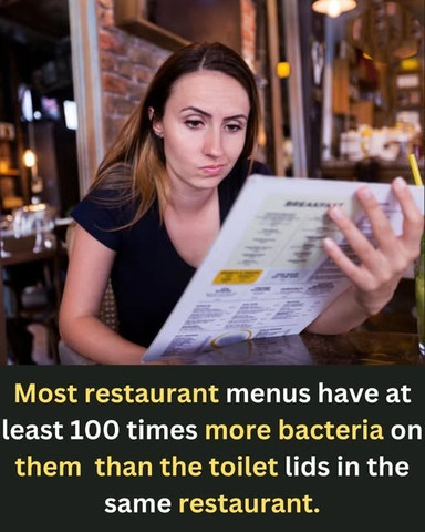 Most restaurant menus have at least 100 times more bacteria on them