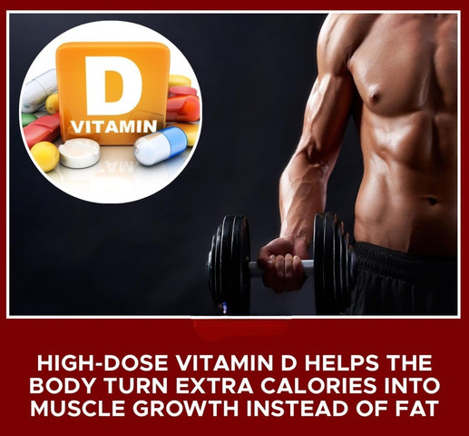 High-dose vitamin D helps the body turn extra calories