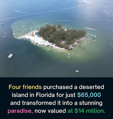 Four friends purchased a deserted island in Florida for just $65,000