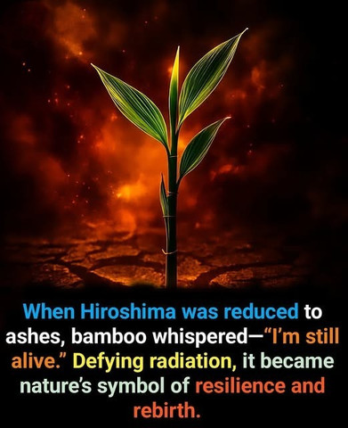 When Hiroshima was reduced to ashes bamboo whispered I