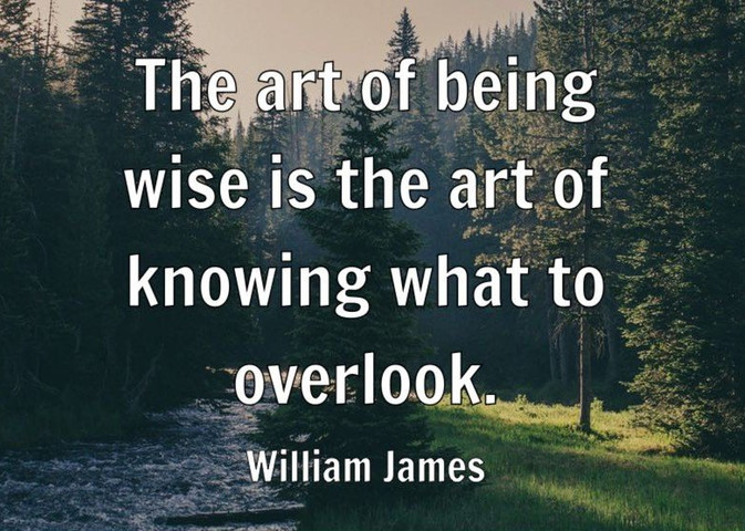 The art of being wise is the art of knowing what to overlook