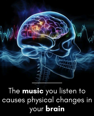 The music you listen to causes physical changes in your brain