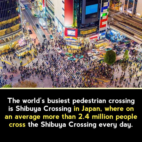 The world