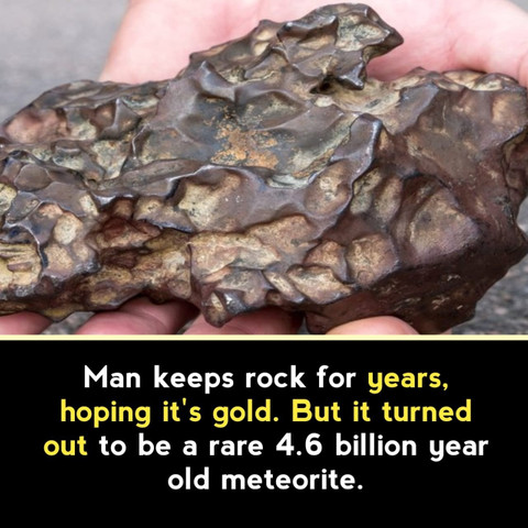 Man keeps rock for years, hoping it