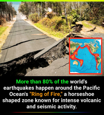 More than 80% of the world