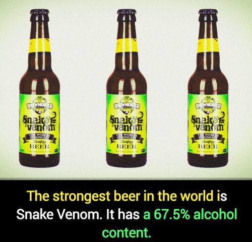 The strongest beer in the world is Snake Venom. It has a 67.5% alcohol content